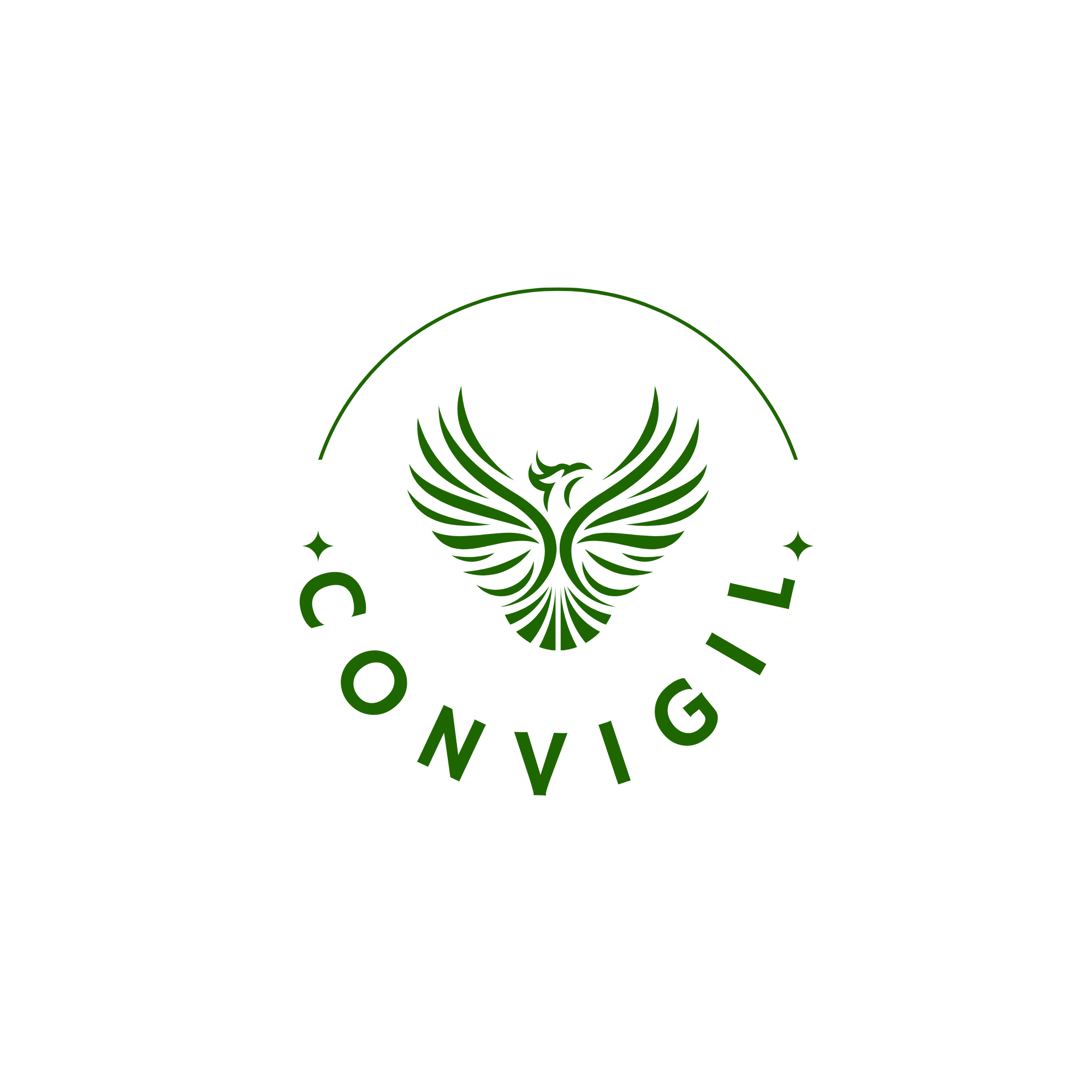 Convigil Private Limited logo